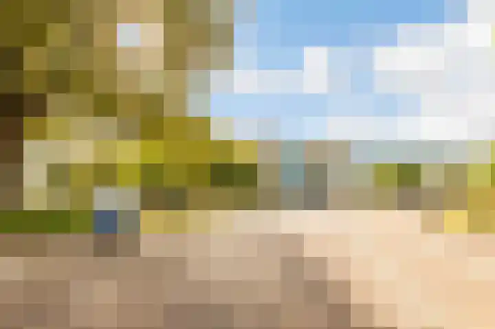 Adriaen van Ostadelaan 117 Utrecht thumbnail 18