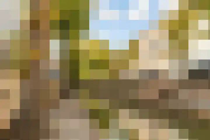Adriaen van Ostadelaan 117 Utrecht thumbnail 20