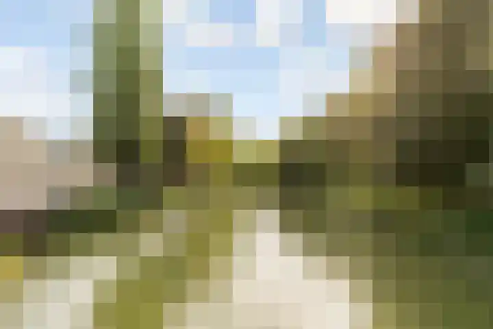 Adriaen van Ostadelaan 117 Utrecht thumbnail 21
