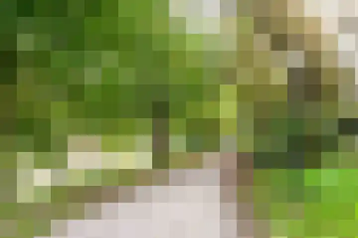 Adriaen van Ostadelaan 117 Utrecht thumbnail 22