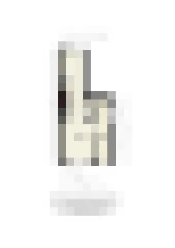 Adriaen van Ostadelaan 117 Utrecht thumbnail 24