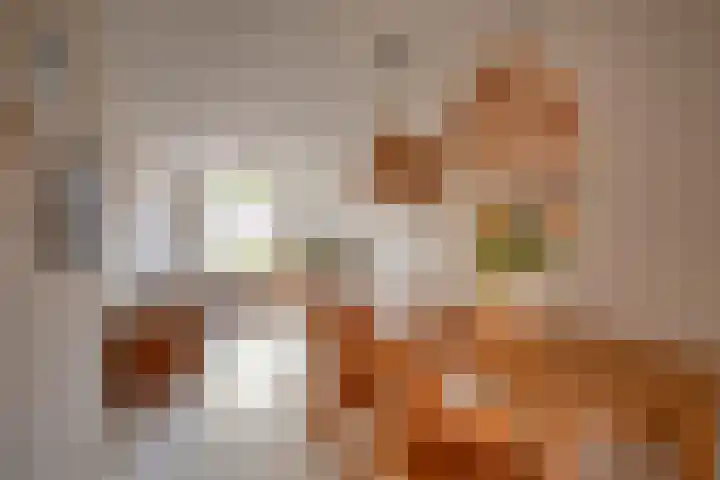 Adriaen van Ostadelaan 119 Utrecht thumbnail 11