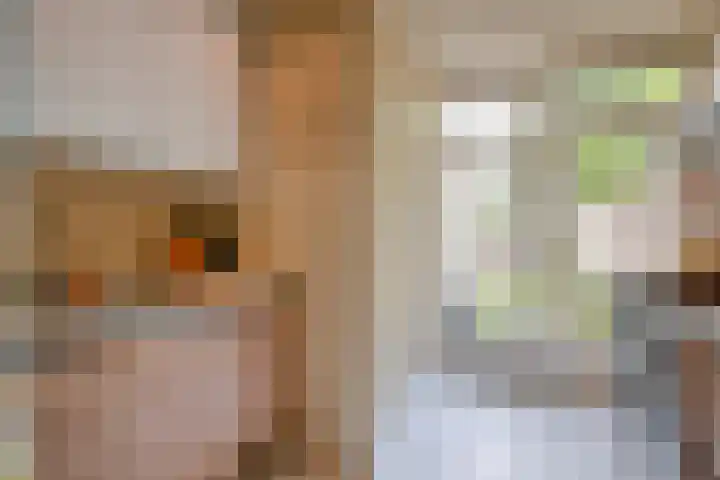 Adriaen van Ostadelaan 119 Utrecht thumbnail 13