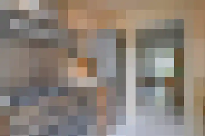 Adriaen van Ostadelaan 119 Utrecht thumbnail 14