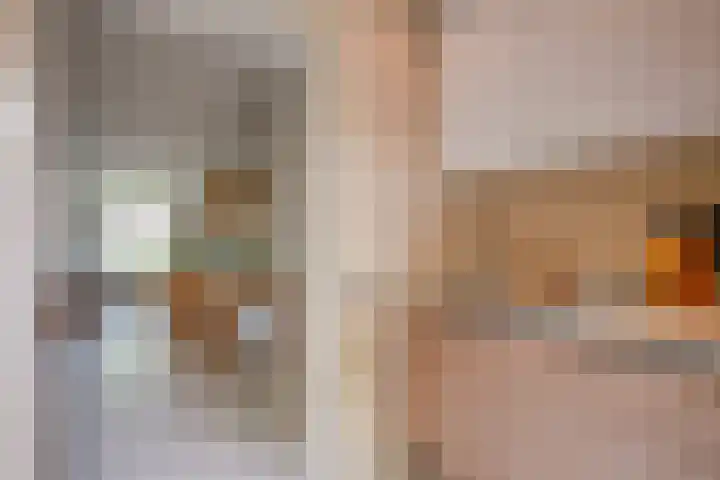 Adriaen van Ostadelaan 119 Utrecht thumbnail 15