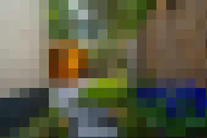 Adriaen van Ostadelaan 119 Utrecht thumbnail 16