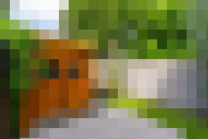 Adriaen van Ostadelaan 119 Utrecht thumbnail 17
