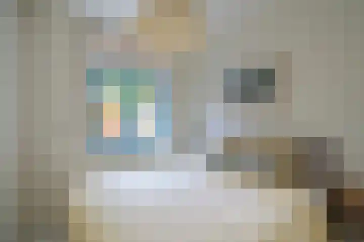 Adriaen van Ostadelaan 119 Utrecht thumbnail 25