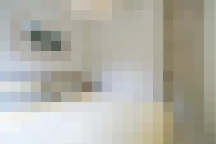 Adriaen van Ostadelaan 119 Utrecht thumbnail 26