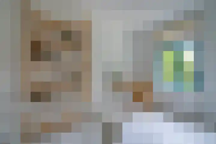 Adriaen van Ostadelaan 119 Utrecht thumbnail 28