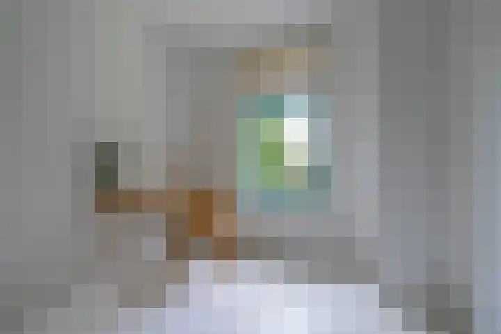 Adriaen van Ostadelaan 119 Utrecht thumbnail 29