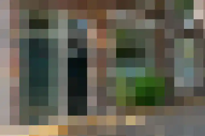 Adriaen van Ostadelaan 119 Utrecht thumbnail 5
