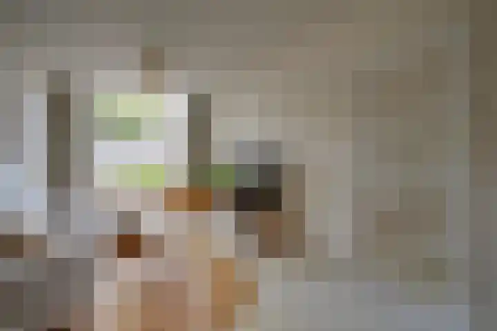 Adriaen van Ostadelaan 119 Utrecht thumbnail 7