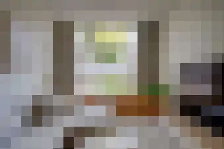 Adriaen van Ostadelaan 119 Utrecht thumbnail 8