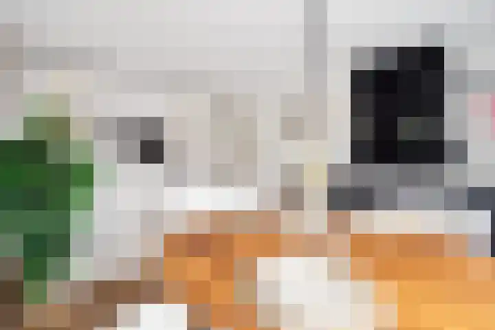 Adriaen van Ostadelaan 12 C Utrecht thumbnail 11