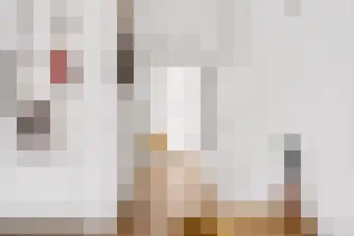 Adriaen van Ostadelaan 12 C Utrecht thumbnail 12