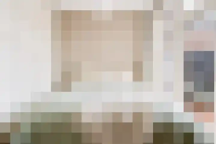 Adriaen van Ostadelaan 12 C Utrecht thumbnail 13
