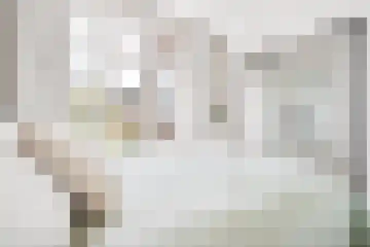 Adriaen van Ostadelaan 12 C Utrecht thumbnail 15