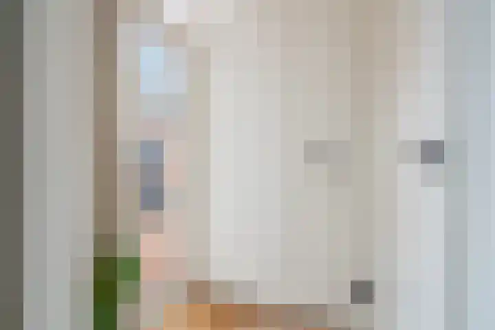 Adriaen van Ostadelaan 12 C Utrecht thumbnail 16