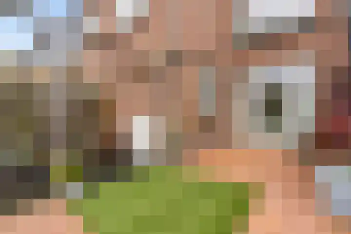 Adriaen van Ostadelaan 12 C Utrecht thumbnail 18