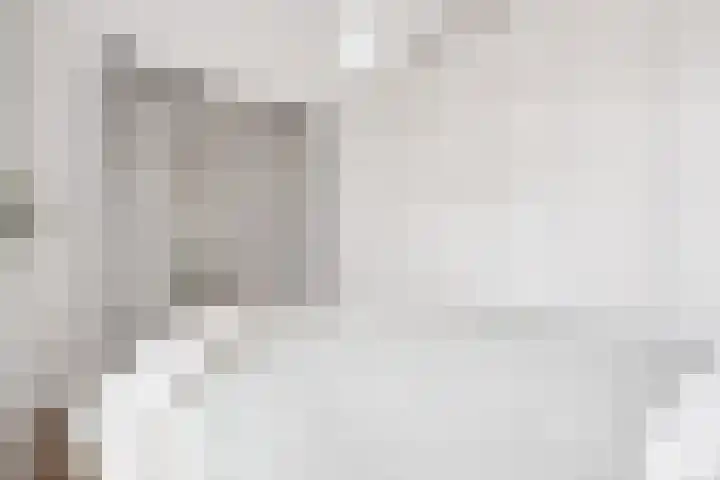 Adriaen van Ostadelaan 12 C Utrecht thumbnail 19