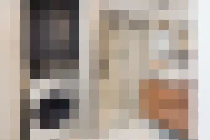 Adriaen van Ostadelaan 12 C Utrecht thumbnail 20