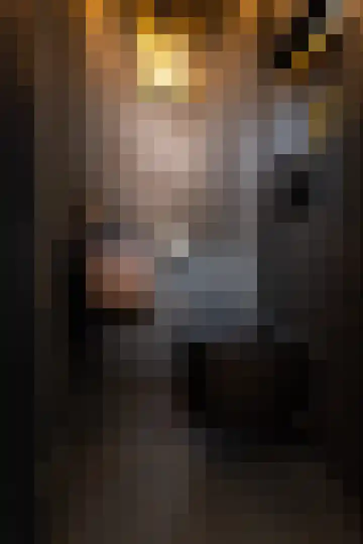 Adriaen van Ostadelaan 12 C Utrecht thumbnail 23