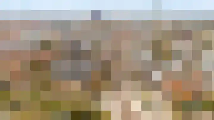Adriaen van Ostadelaan 12 C Utrecht thumbnail 27