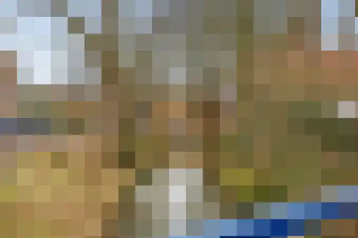 Adriaen van Ostadelaan 12 C Utrecht thumbnail 29