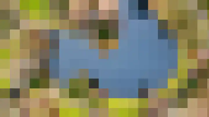 Adriaen van Ostadelaan 12 C Utrecht thumbnail 30