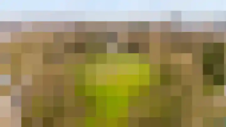 Adriaen van Ostadelaan 12 C Utrecht thumbnail 31