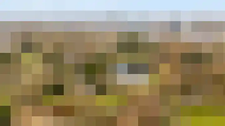 Adriaen van Ostadelaan 12 C Utrecht thumbnail 32
