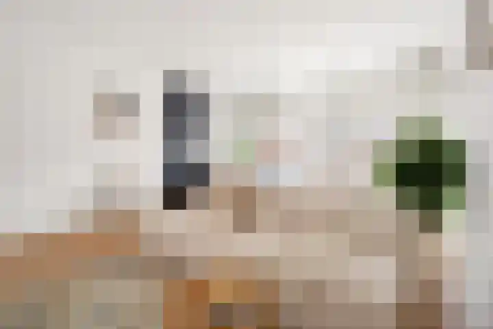 Adriaen van Ostadelaan 12 C Utrecht thumbnail 6