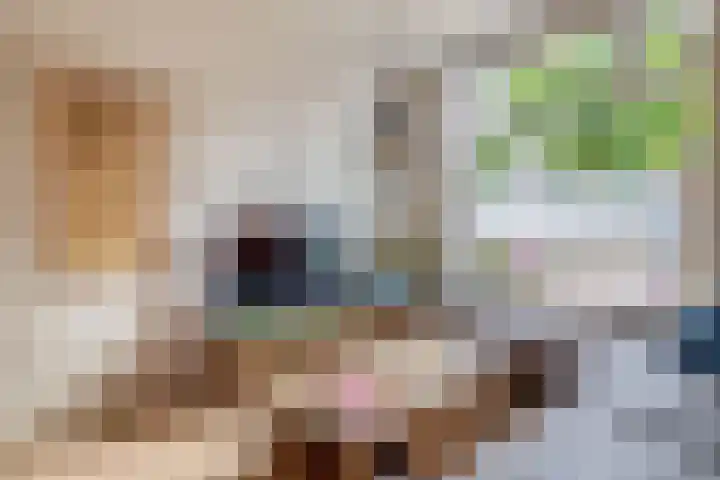 Adriaen van Ostadelaan 125 Utrecht thumbnail 11