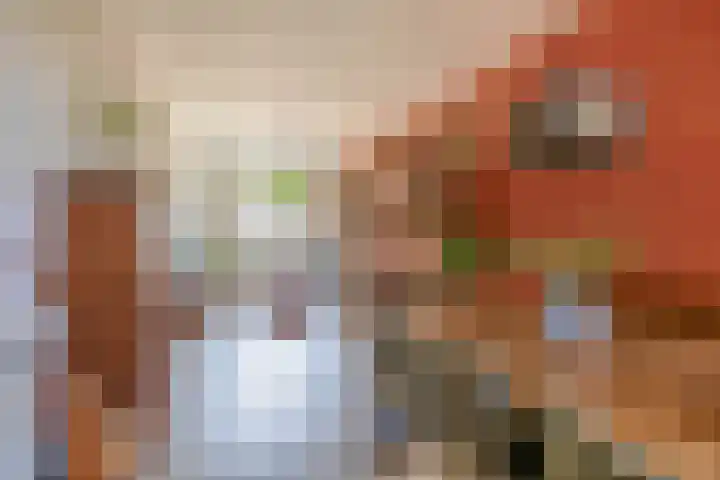 Adriaen van Ostadelaan 125 Utrecht thumbnail 17