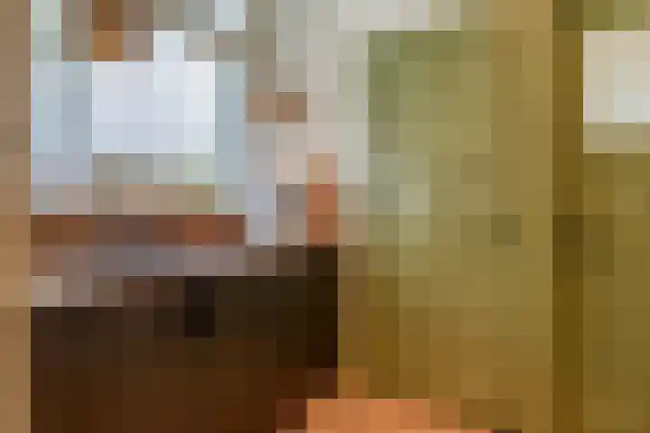 Adriaen van Ostadelaan 125 Utrecht thumbnail 20