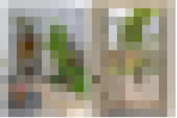 Adriaen van Ostadelaan 125 Utrecht thumbnail 22