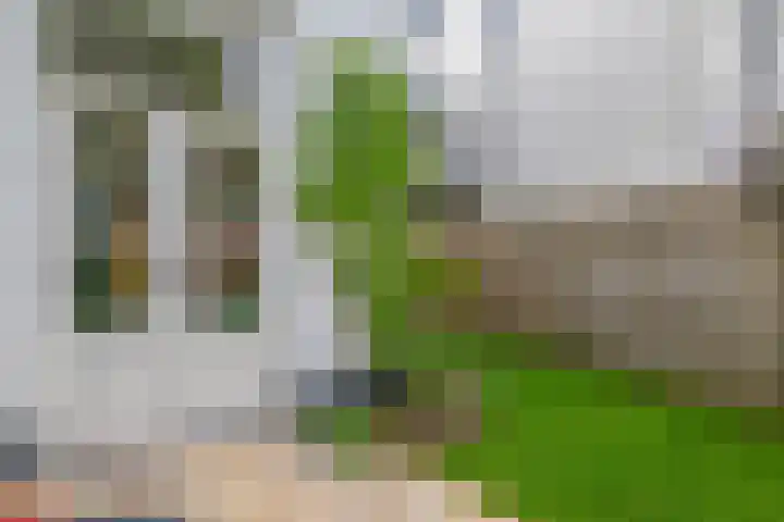 Adriaen van Ostadelaan 125 Utrecht thumbnail 23