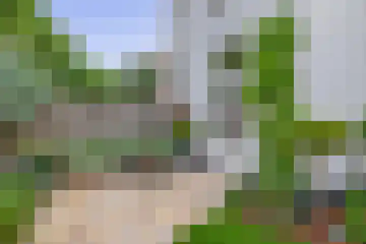 Adriaen van Ostadelaan 125 Utrecht thumbnail 24