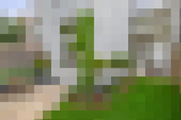 Adriaen van Ostadelaan 125 Utrecht thumbnail 25