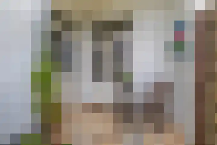 Adriaen van Ostadelaan 125 Utrecht thumbnail 26