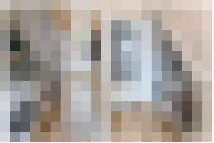 Adriaen van Ostadelaan 125 Utrecht thumbnail 29