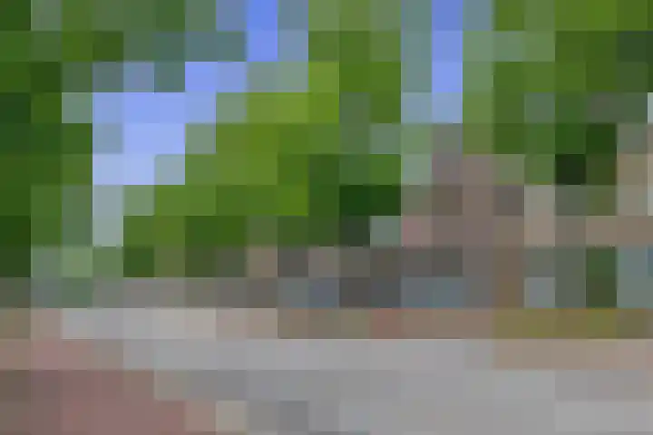 Adriaen van Ostadelaan 125 Utrecht thumbnail 34