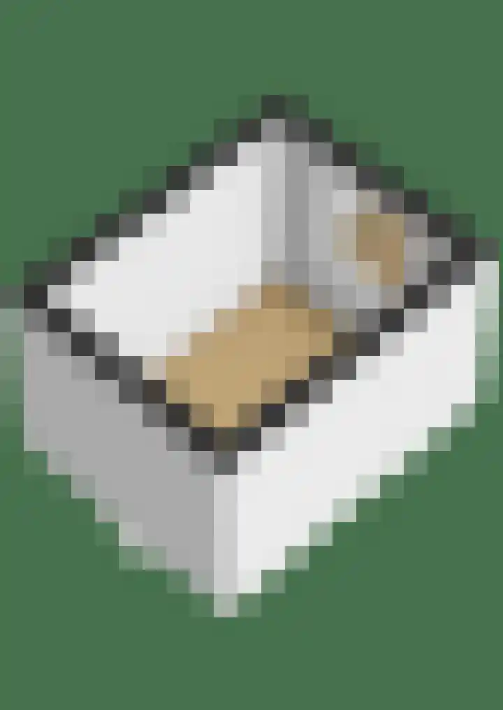 Adriaen van Ostadelaan 125 Utrecht thumbnail 40