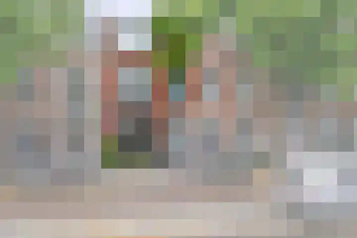 Adriaen van Ostadelaan 125 Utrecht thumbnail 5