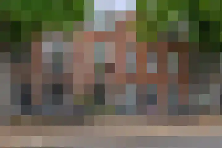 Adriaen van Ostadelaan 125 Utrecht thumbnail 6