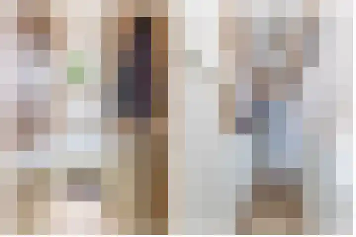 Adriaen van Ostadelaan 125 Utrecht thumbnail 7