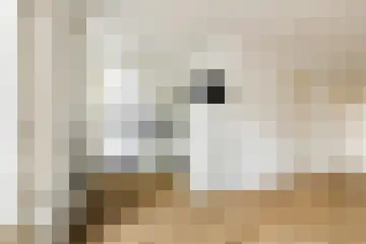 Adriaen van Ostadelaan 127 A Utrecht thumbnail 10