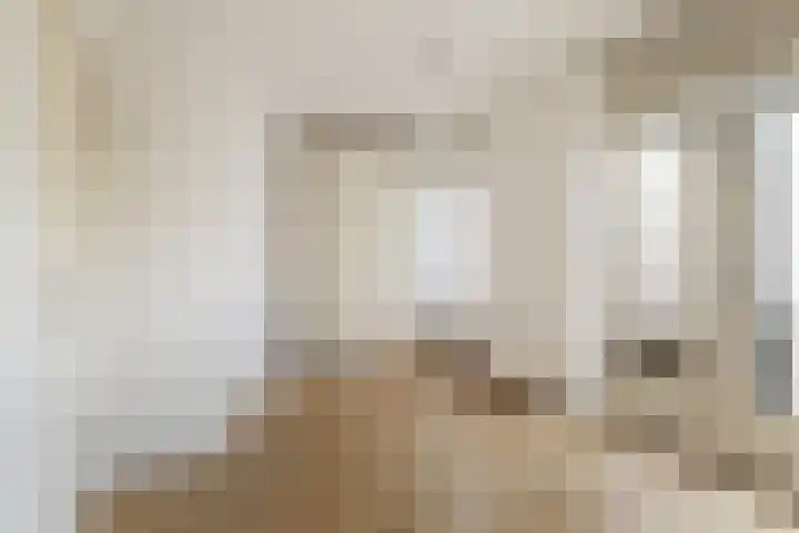 Adriaen van Ostadelaan 127 A Utrecht thumbnail 15