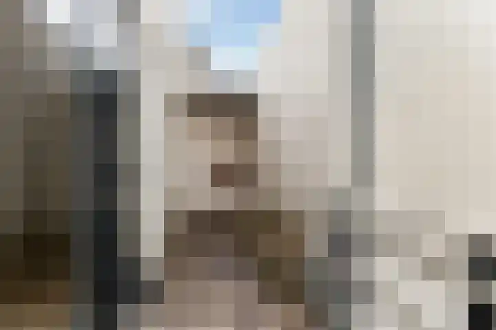 Adriaen van Ostadelaan 127 A Utrecht thumbnail 20